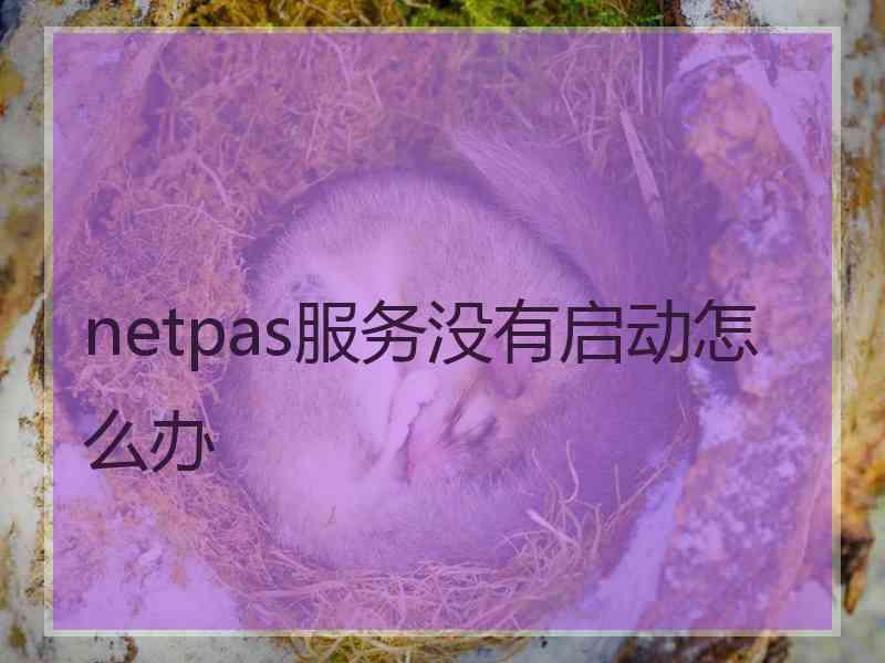 netpas服务没有启动怎么办