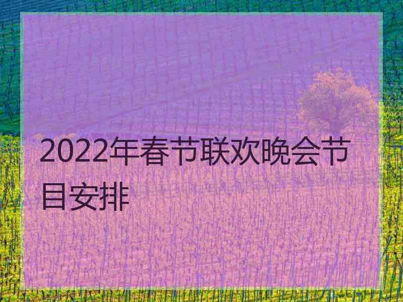 2022年春节联欢晚会节目安排