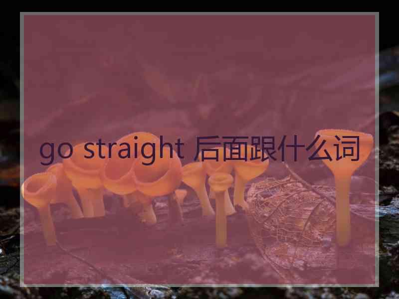 go straight 后面跟什么词