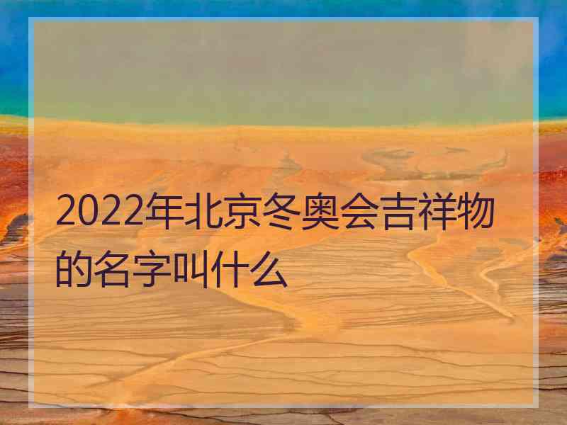 2022年北京冬奥会吉祥物的名字叫什么