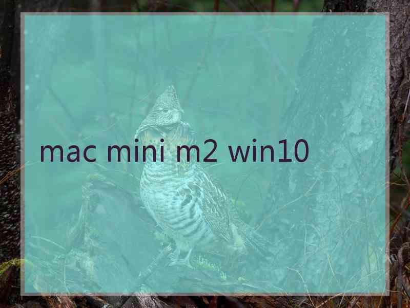 mac mini m2 win10