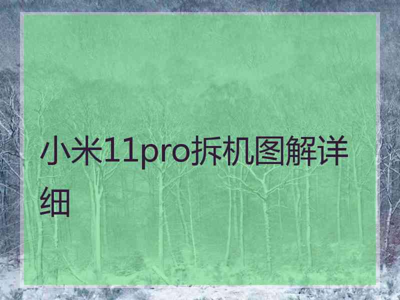 小米11pro拆机图解详细