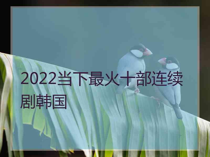 2022当下最火十部连续剧韩国