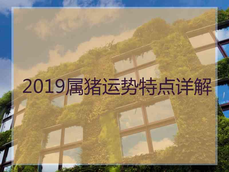 2019属猪运势特点详解