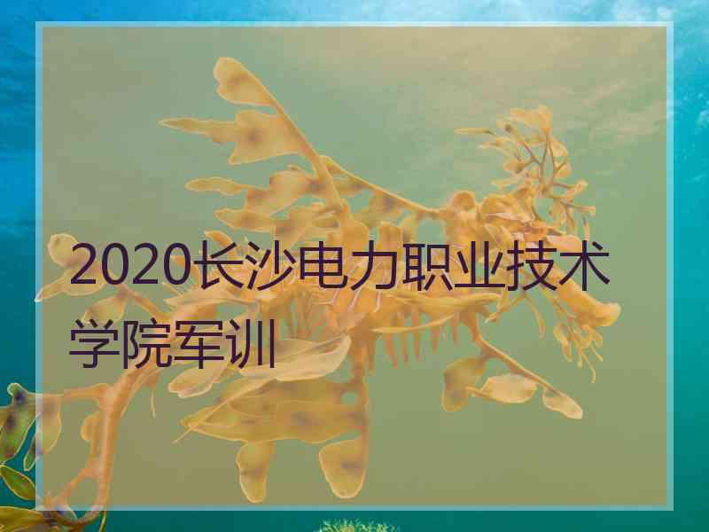 2020长沙电力职业技术学院军训