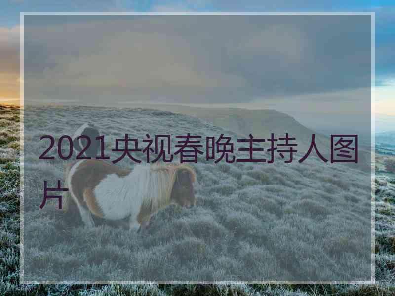 2021央视春晚主持人图片