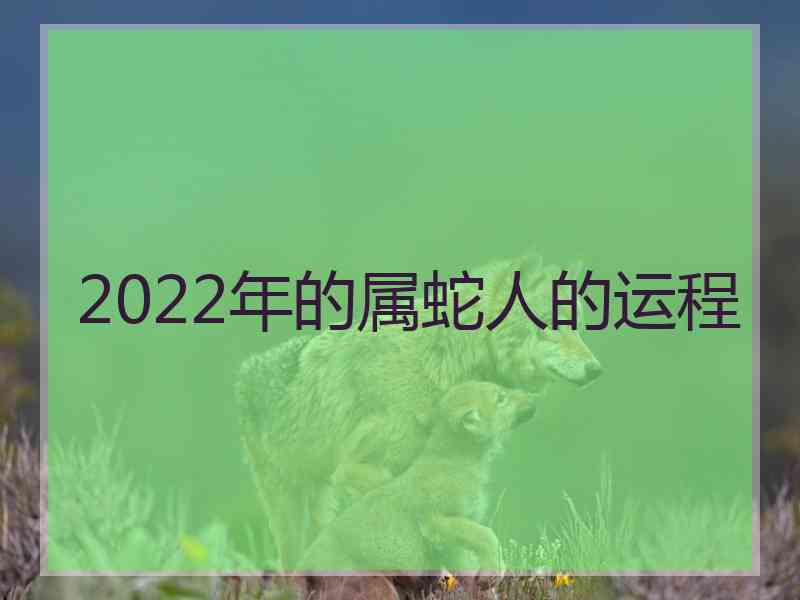 2022年的属蛇人的运程