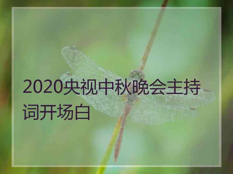 2020央视中秋晚会主持词开场白