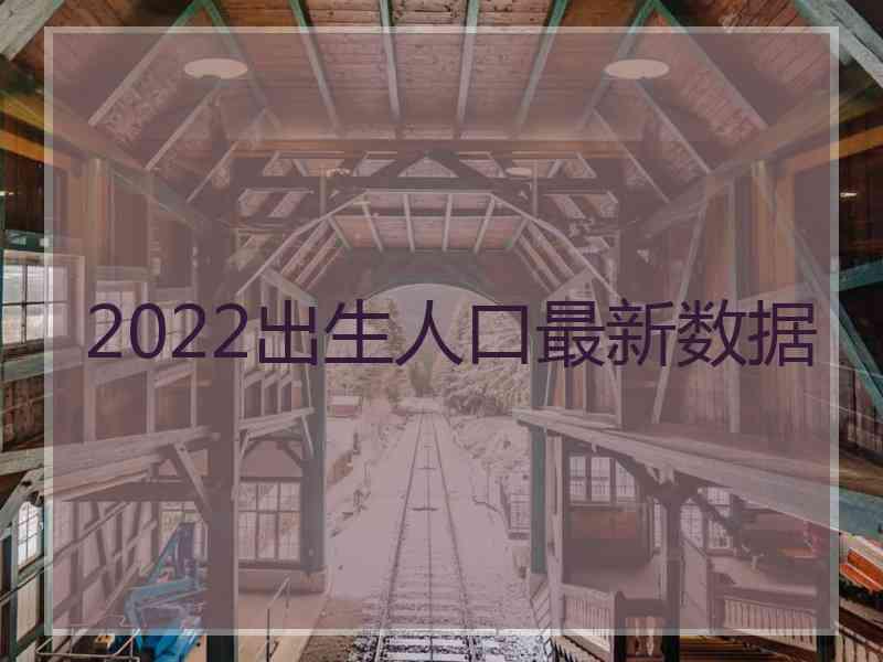 2022出生人口最新数据