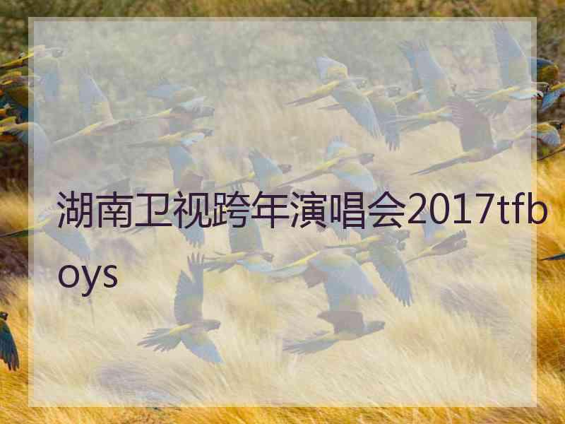 湖南卫视跨年演唱会2017tfboys