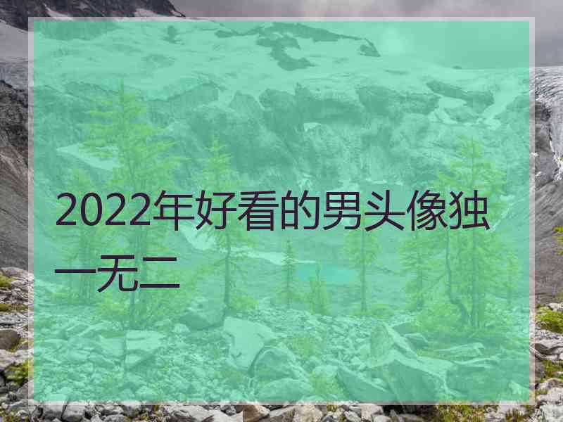 2022年好看的男头像独一无二