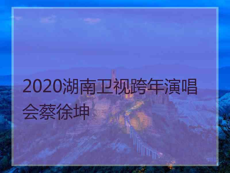 2020湖南卫视跨年演唱会蔡徐坤