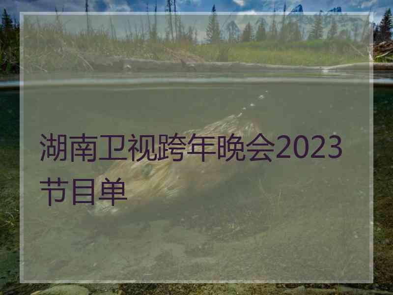 湖南卫视跨年晚会2023节目单