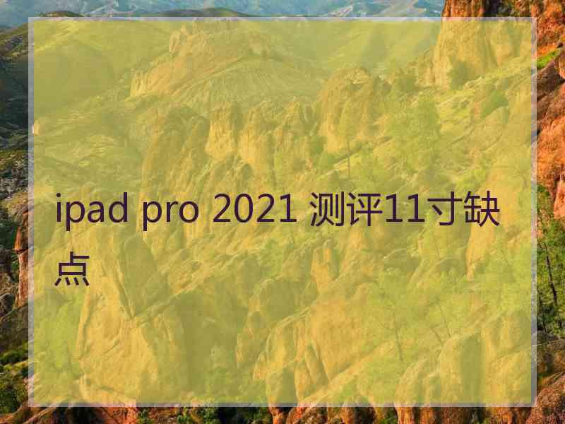 ipad pro 2021 测评11寸缺点