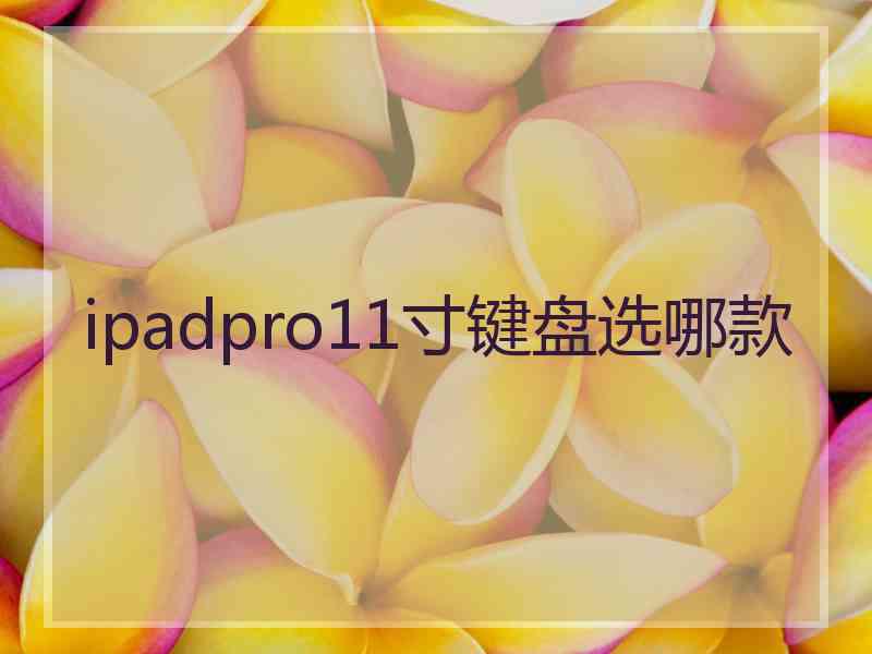 ipadpro11寸键盘选哪款