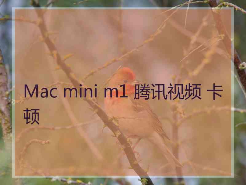 Mac mini m1 腾讯视频 卡顿