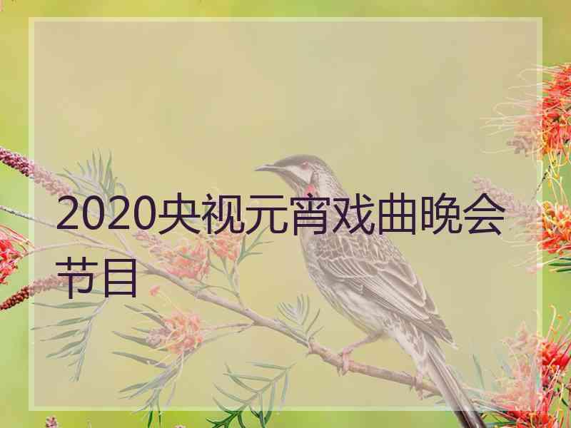 2020央视元宵戏曲晚会节目