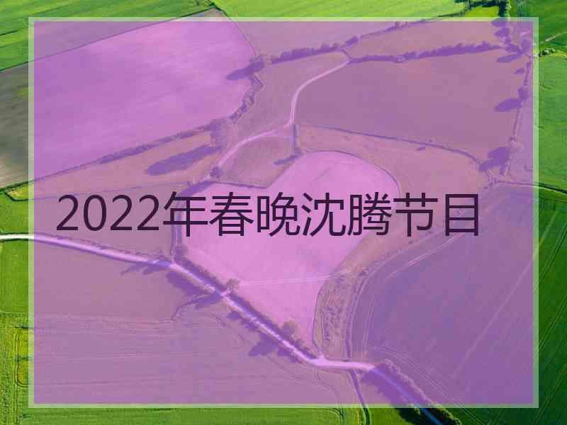 2022年春晚沈腾节目