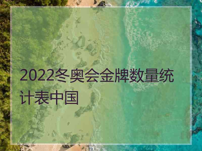 2022冬奥会金牌数量统计表中国