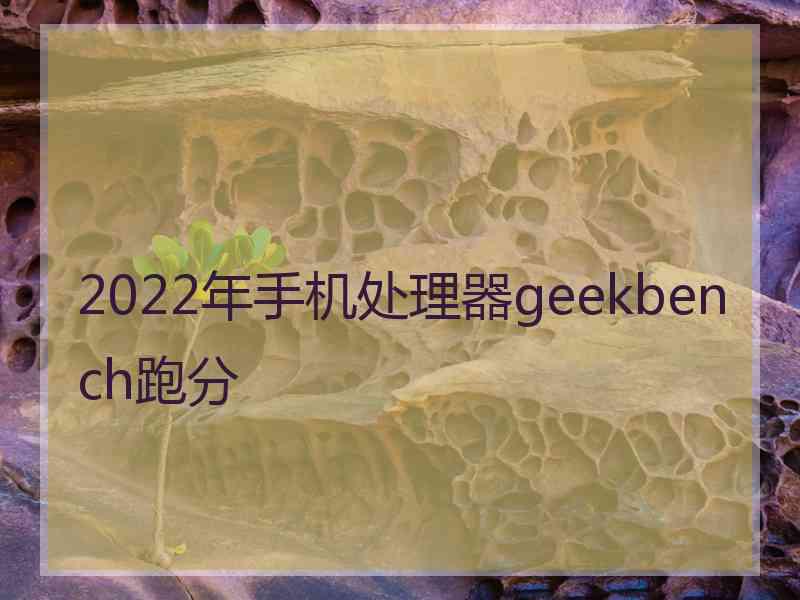 2022年手机处理器geekbench跑分