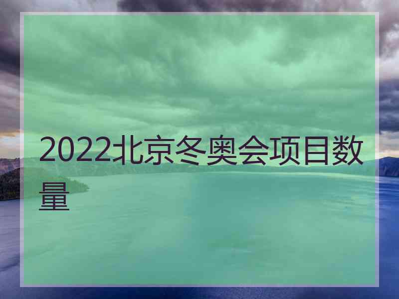 2022北京冬奥会项目数量