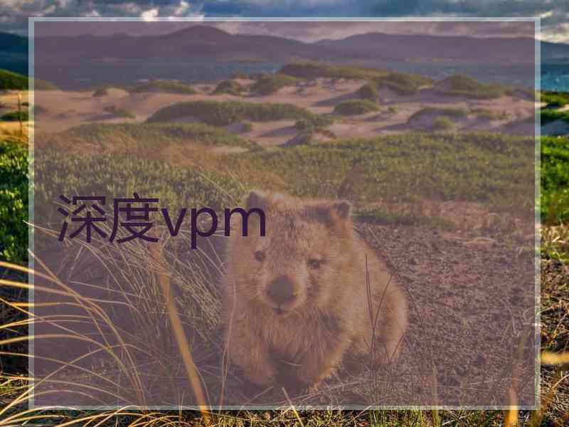 深度vpm