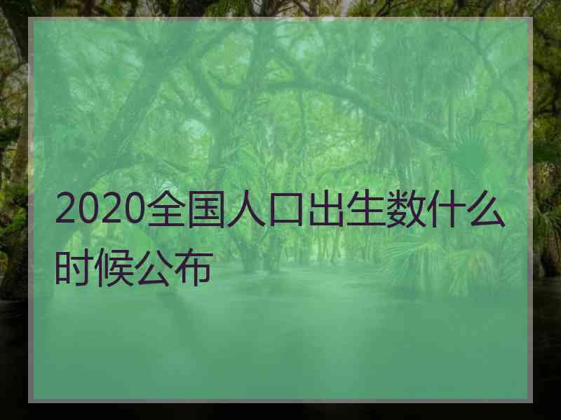 2020全国人口出生数什么时候公布