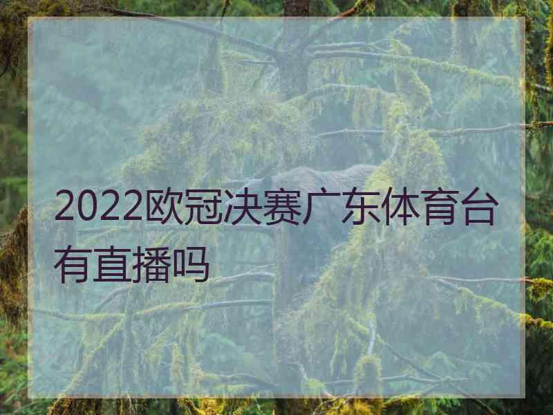 2022欧冠决赛广东体育台有直播吗