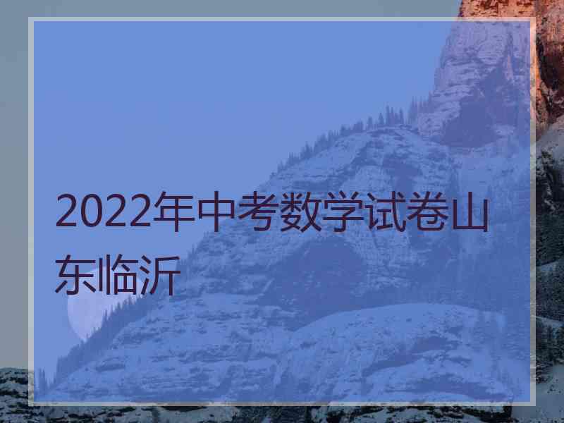 2022年中考数学试卷山东临沂