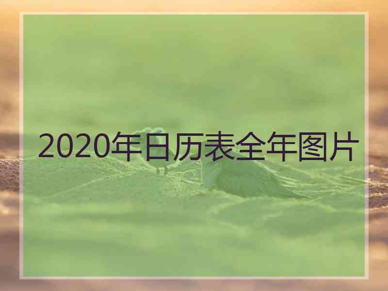 2020年日历表全年图片