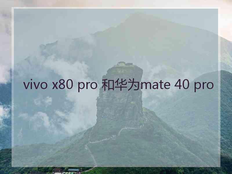 vivo x80 pro 和华为mate 40 pro