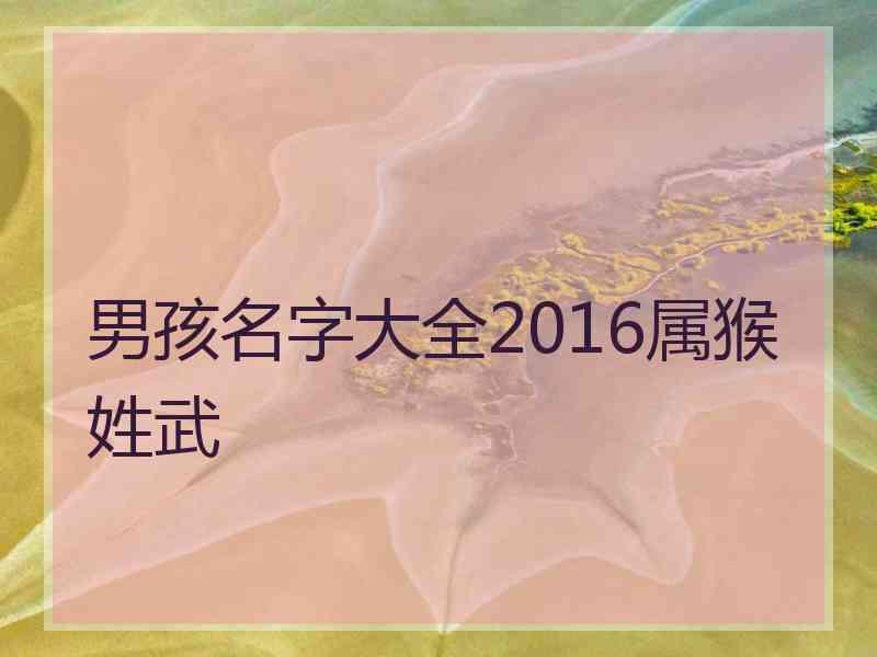 男孩名字大全2016属猴姓武