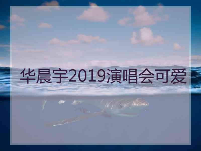 华晨宇2019演唱会可爱