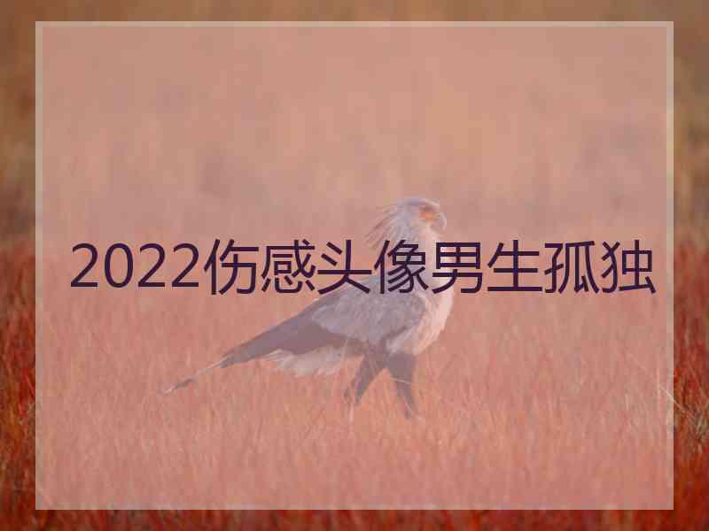 2022伤感头像男生孤独