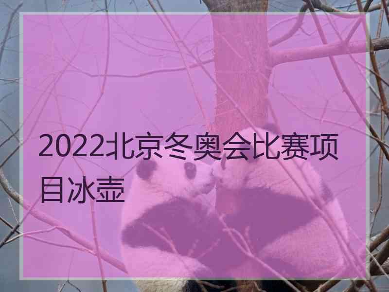 2022北京冬奥会比赛项目冰壶