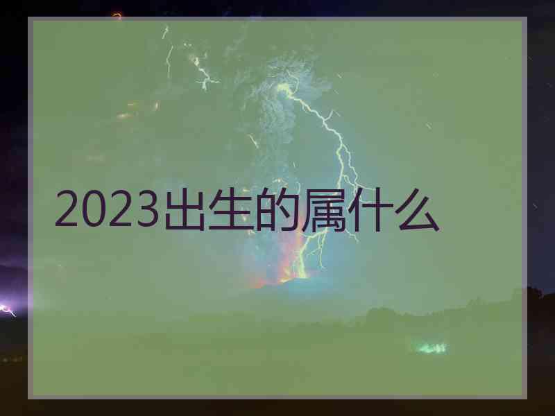 2023出生的属什么