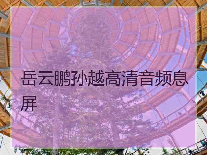 岳云鹏孙越高清音频息屏