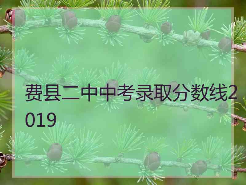 费县二中中考录取分数线2019