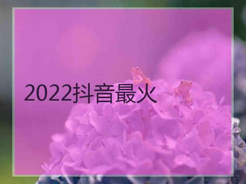 2022抖音最火