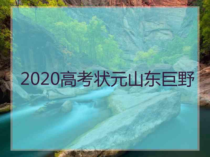 2020高考状元山东巨野