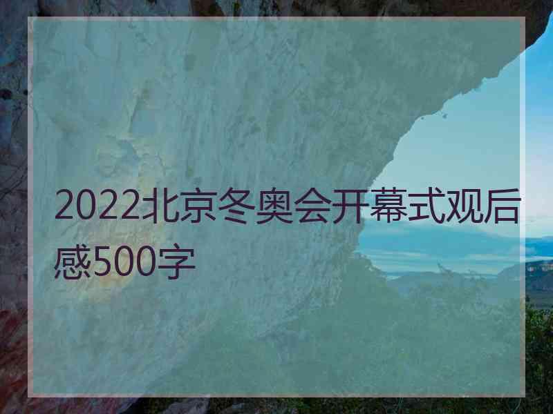 2022北京冬奥会开幕式观后感500字