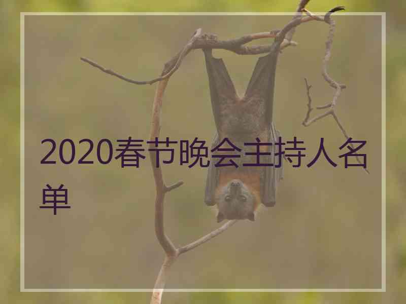 2020春节晚会主持人名单