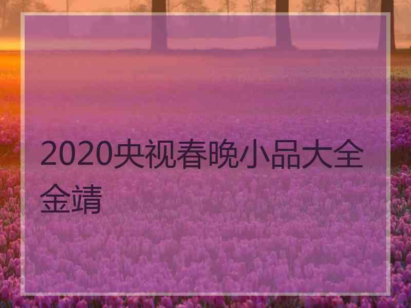 2020央视春晚小品大全金靖