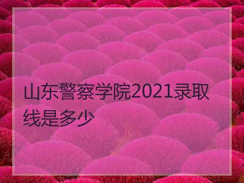 山东警察学院2021录取线是多少