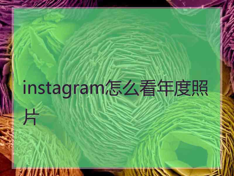 instagram怎么看年度照片