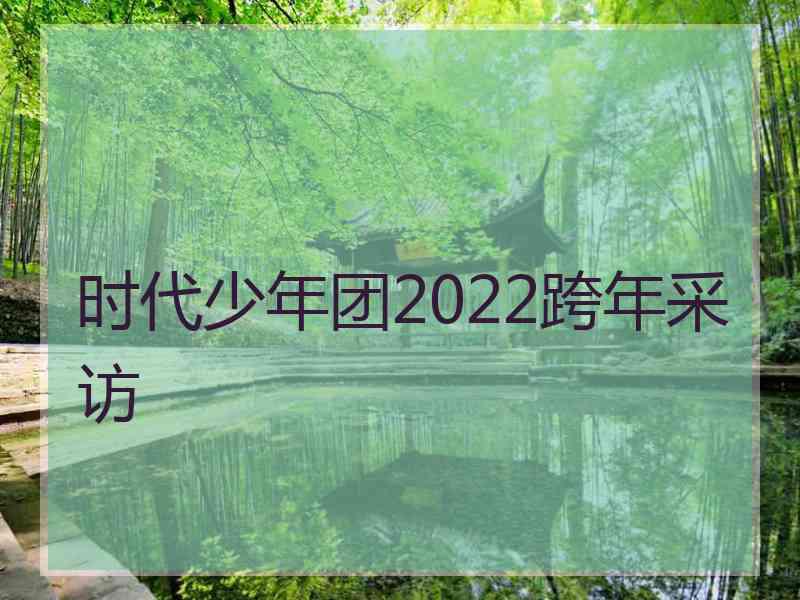 时代少年团2022跨年采访