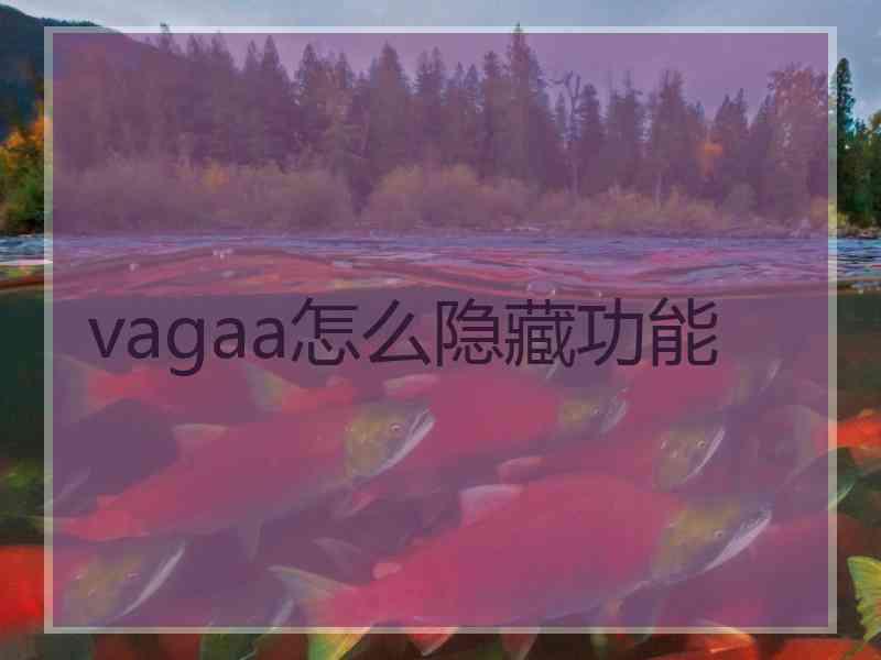 vagaa怎么隐藏功能