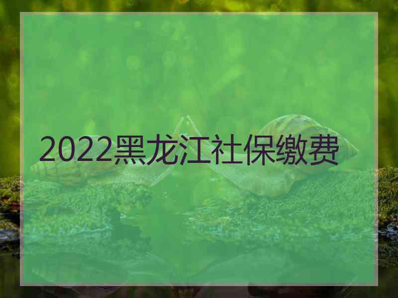 2022黑龙江社保缴费