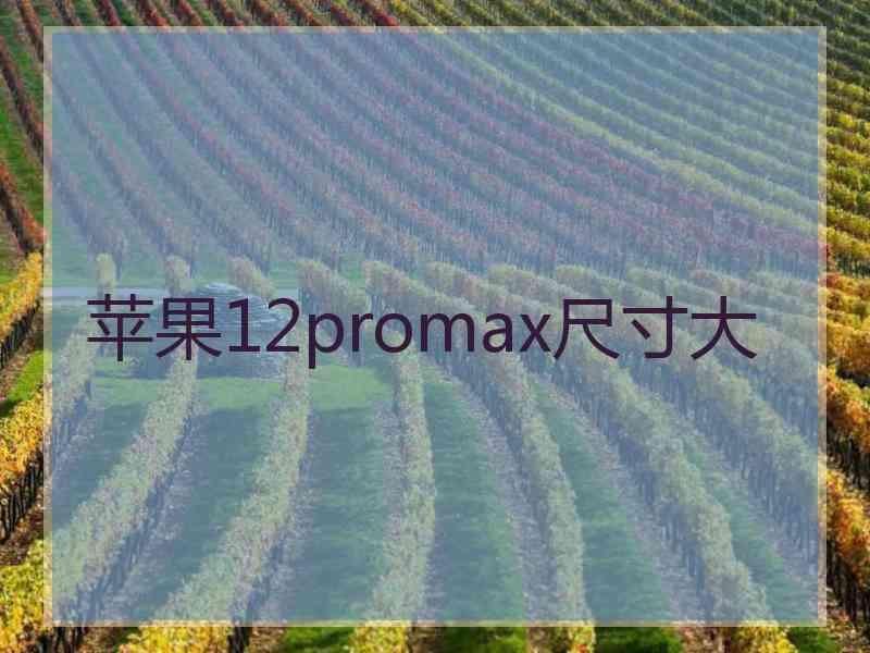 苹果12promax尺寸大