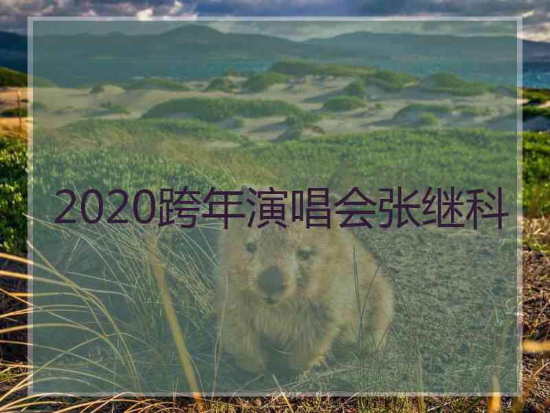 2020跨年演唱会张继科